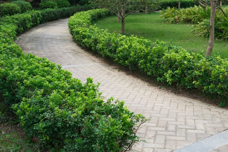 How Paver Hardscaping Improves Drainage Around Your Home