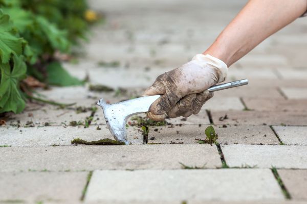 Patio Paver Maintenance